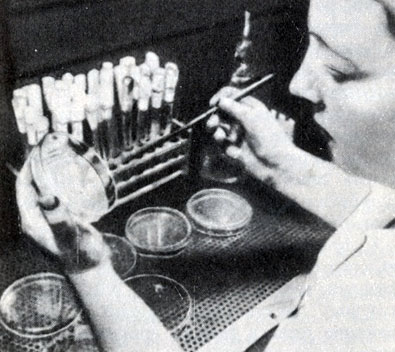 Эксперимент 'Рост бактерий' подготовлен Институтом физической химии Академии наук ГДР в Лейпциге
